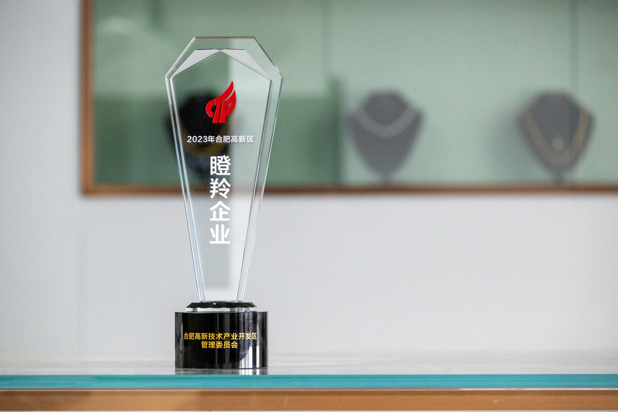 合肥市高新区瞪羚企业